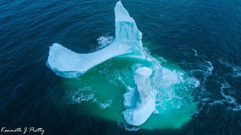 A Tale Of A Giggle Inducing Iceberg The Phallic Wonder Of Dildo