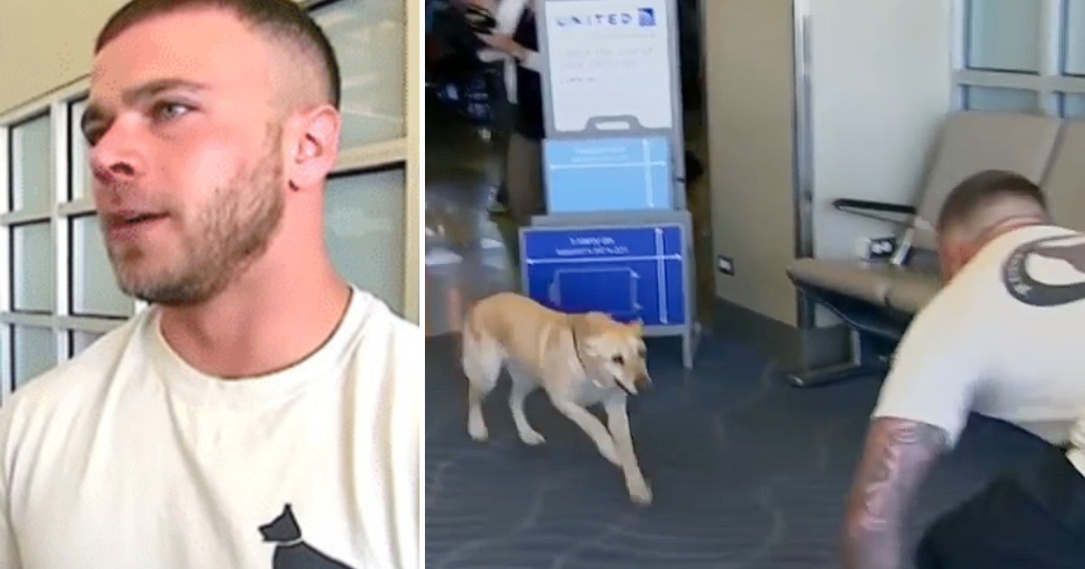 Soldier anxiously awaits the reunion with the dog with whom he served(01)