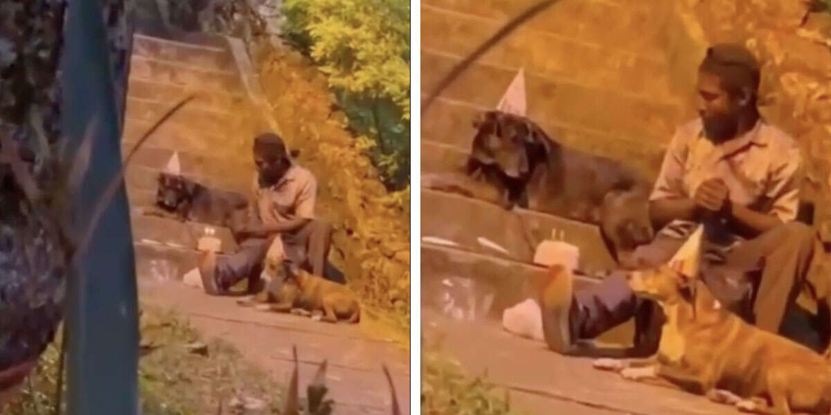 In this adorable video, a homeless man celebrates his dog's birthday ...