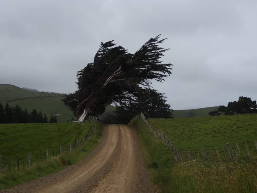 Are 10 mph winds strong? - Hasan Jasim