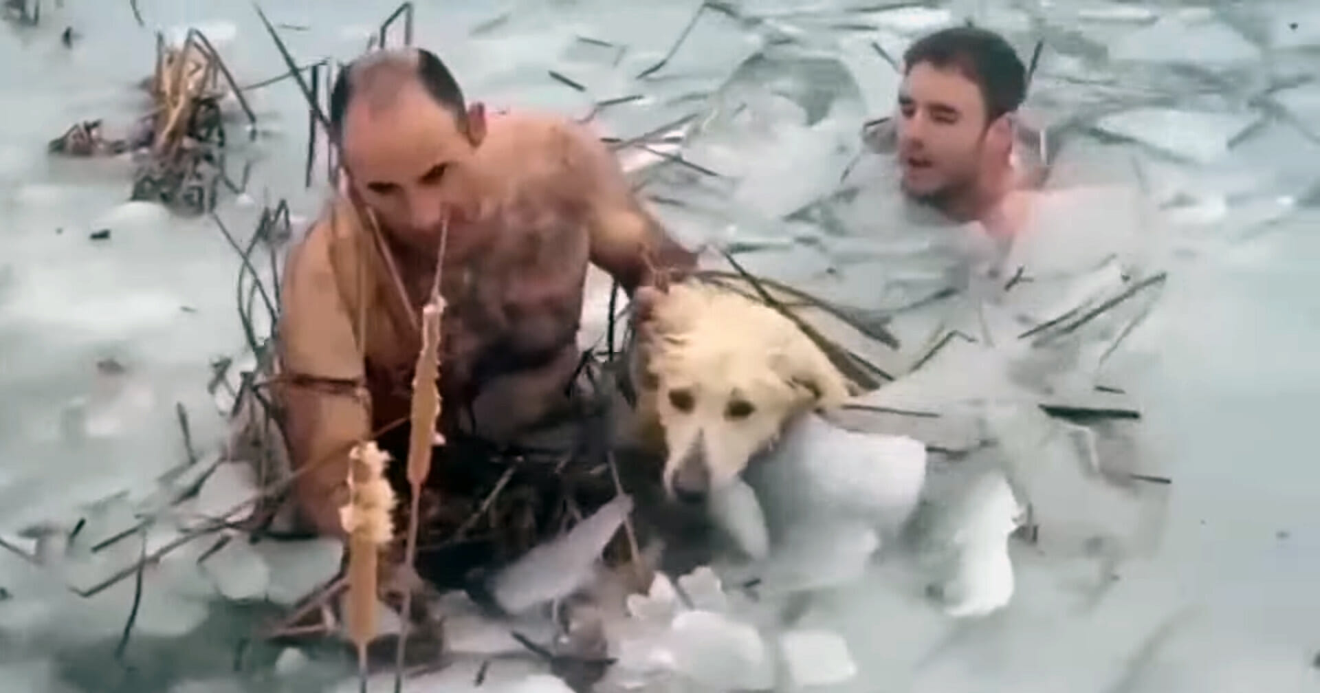 Stranded Frigid Officer bravely plunge into frigid, icy waters to save a stranded puppy ...