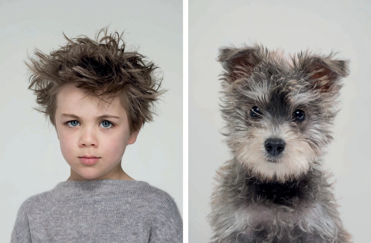 A Photographer Captures The Undeniable Similarities Between dogs And