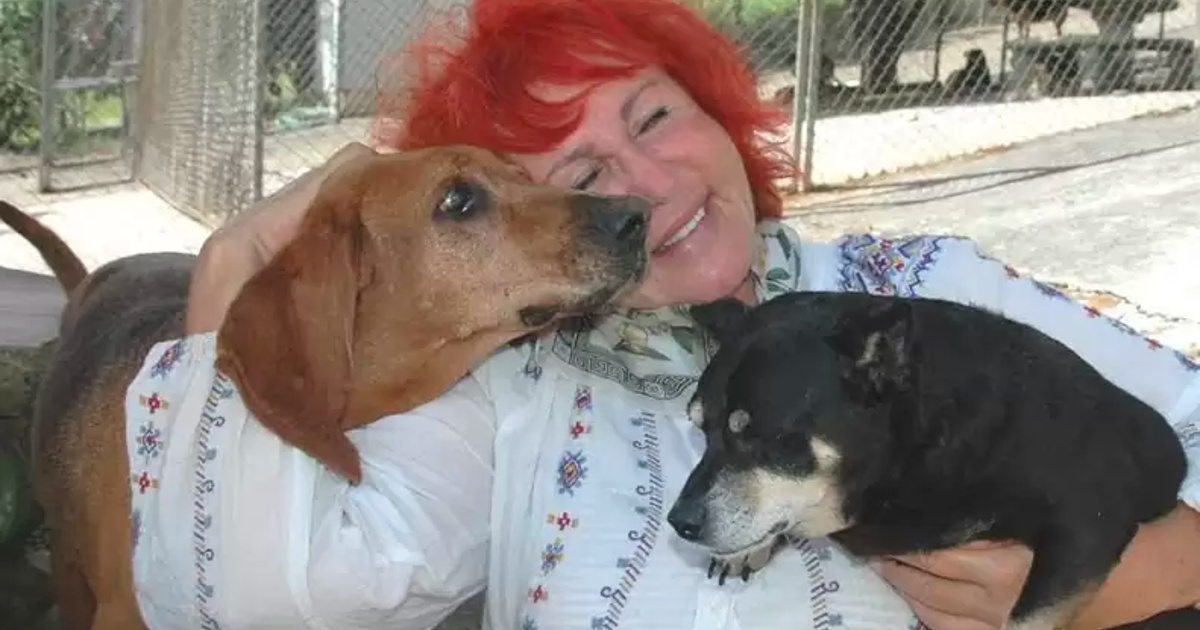 A Woman Converts Her Home into a Hospice to Care For Over 250 Dogs at