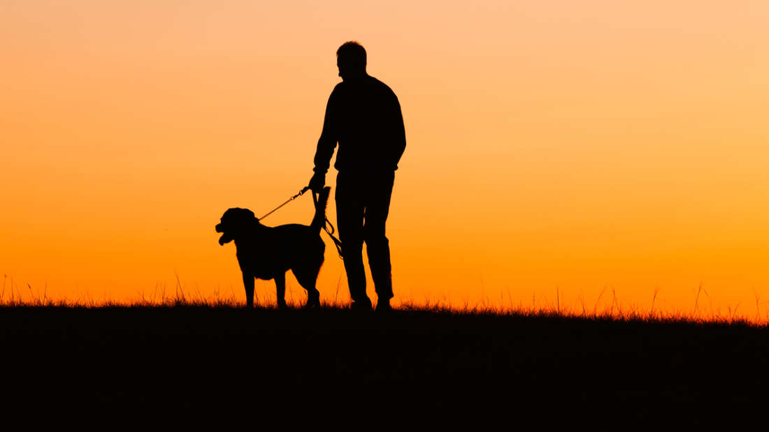 Prayer For Someone Losing A Dog