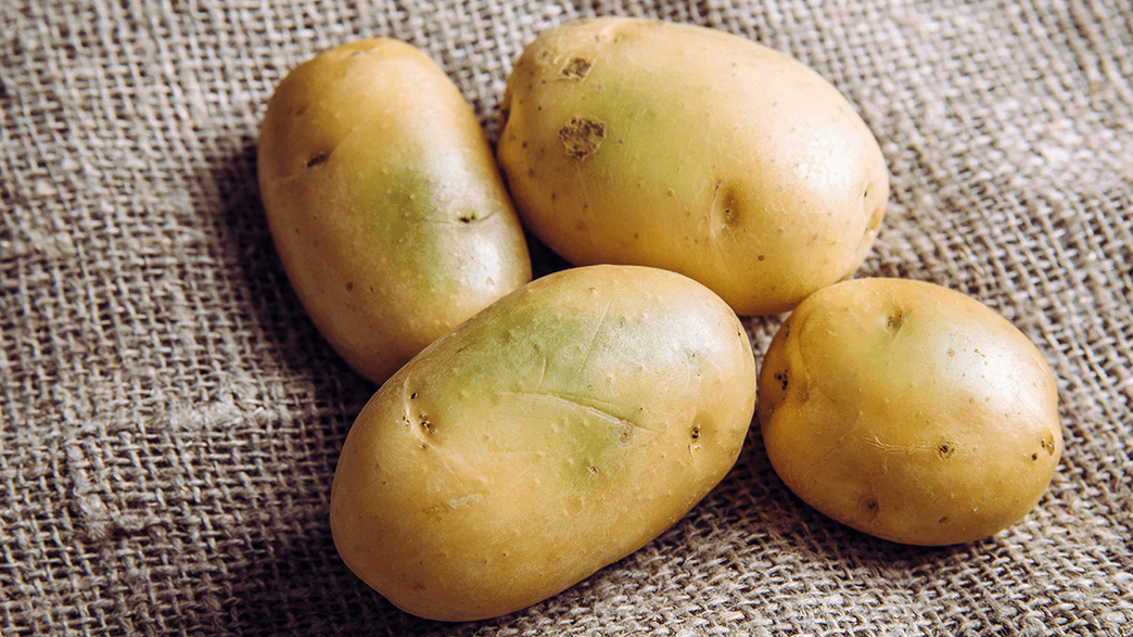 Why You Should Never Eat Green Potatoes The Poisoning Of 78