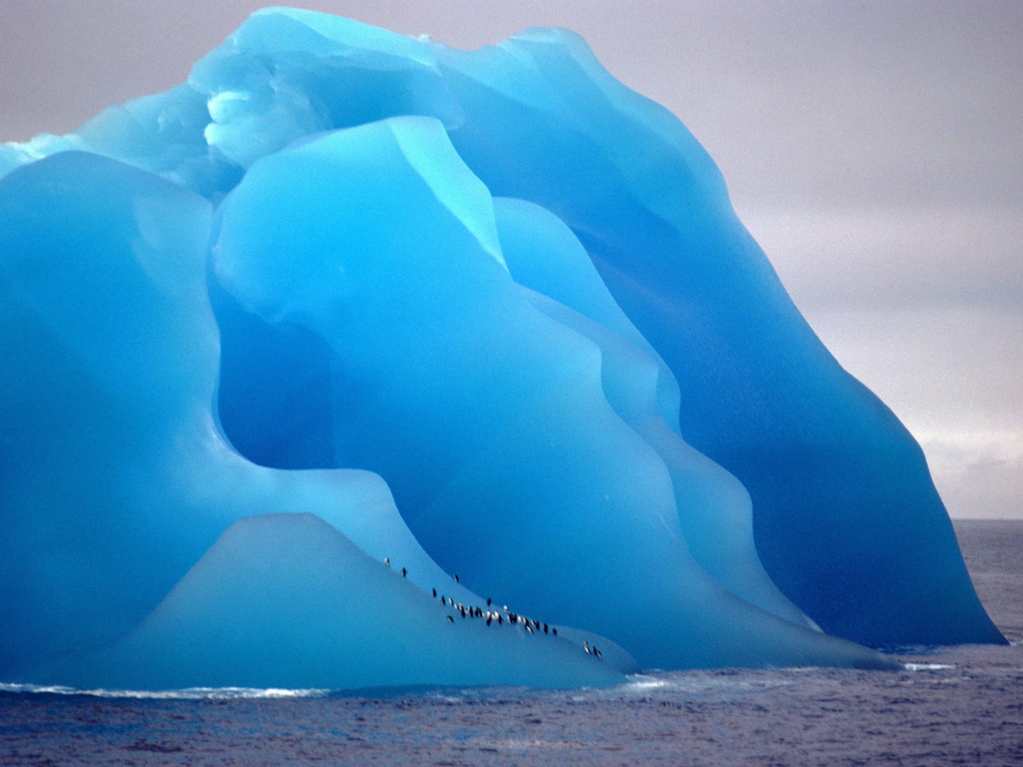 Destructive Beauty: Icebergs Flip with the Power of an Atomic Bomb - Hasan  Jasim