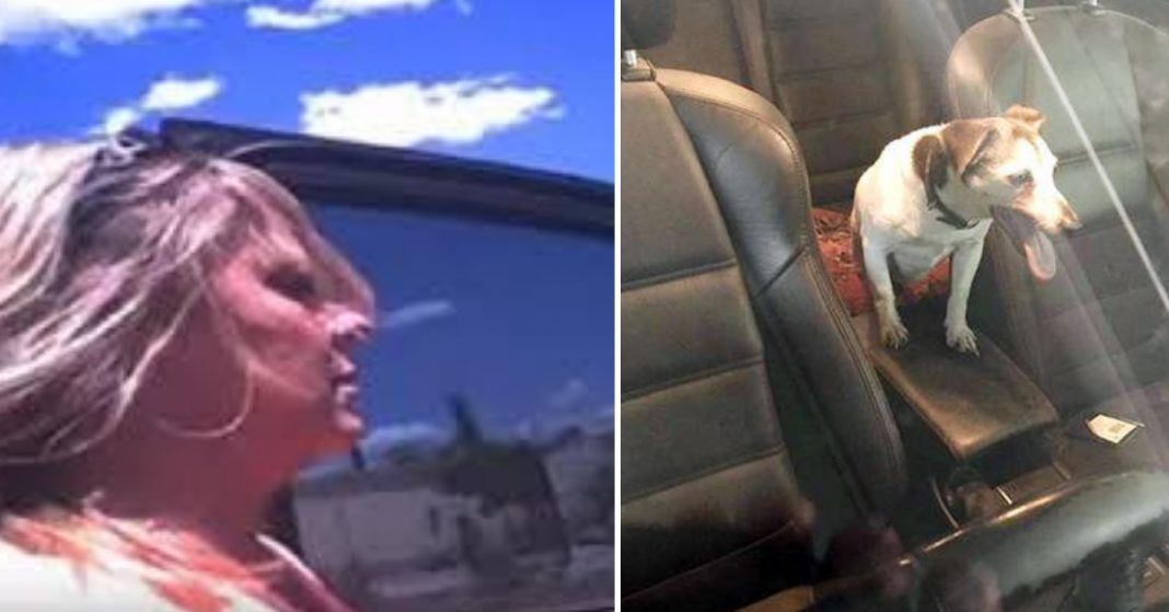 Police Force a Woman to Sit Down in the Hot Car She Left Her Dog In ...