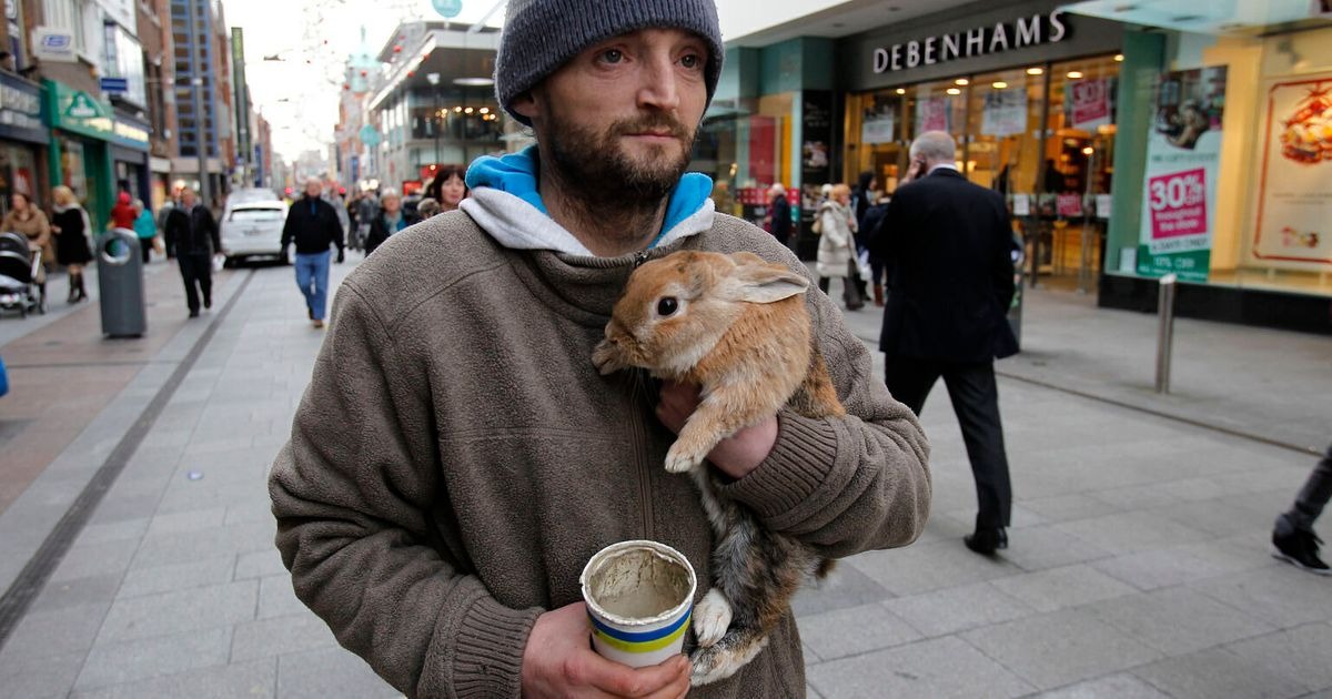 Homeless Man Bravely Jumps Over A Bridge To Save His Rabbit, Which Was ...