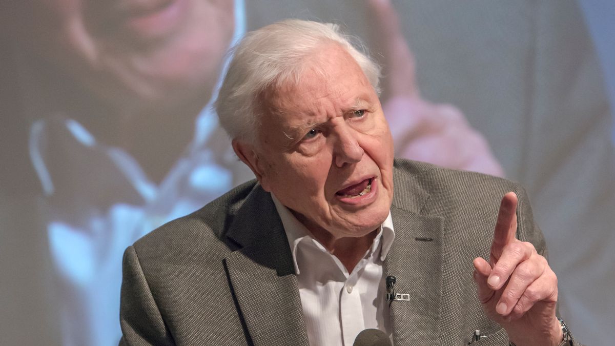 Trolls target Sir David Attenborough with a shouting and ranting AI ...