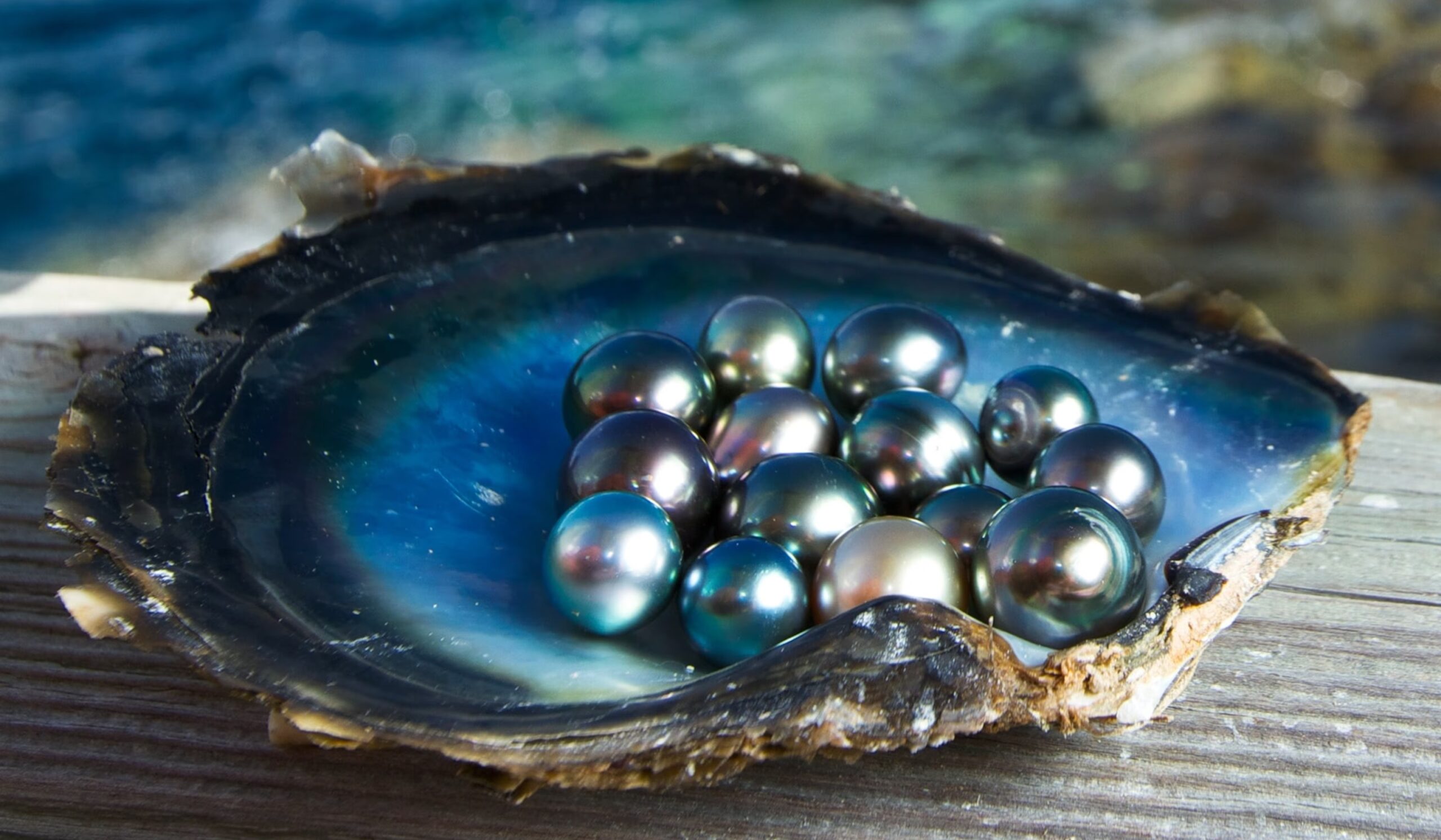 Freshwater Pearl Farming The Art of Cultivating Nature’s Gems Hasan