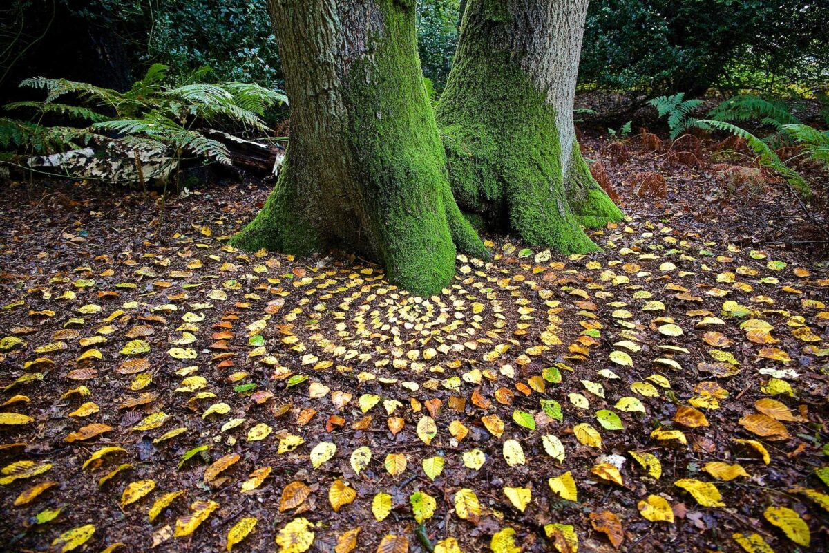 James Brunt Creates Elaborate Cairns And Mandalas Out Of Leaves And