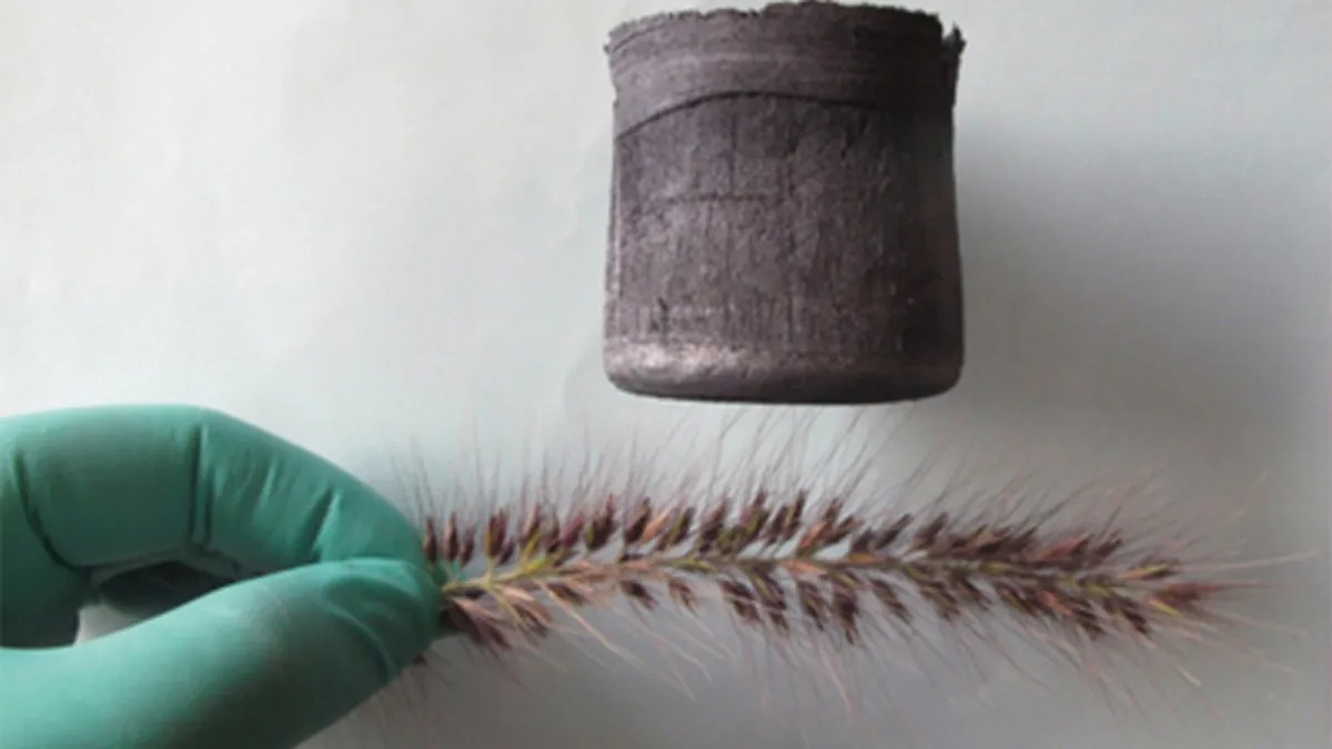 Aerographene The Lightest Solid Material on Earth Hasan Jasim