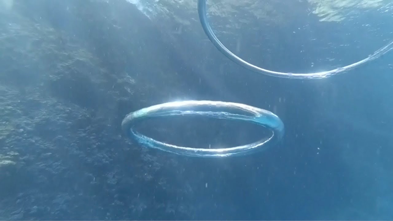 This is what happens when two bubble rings collide Hasan Jasim