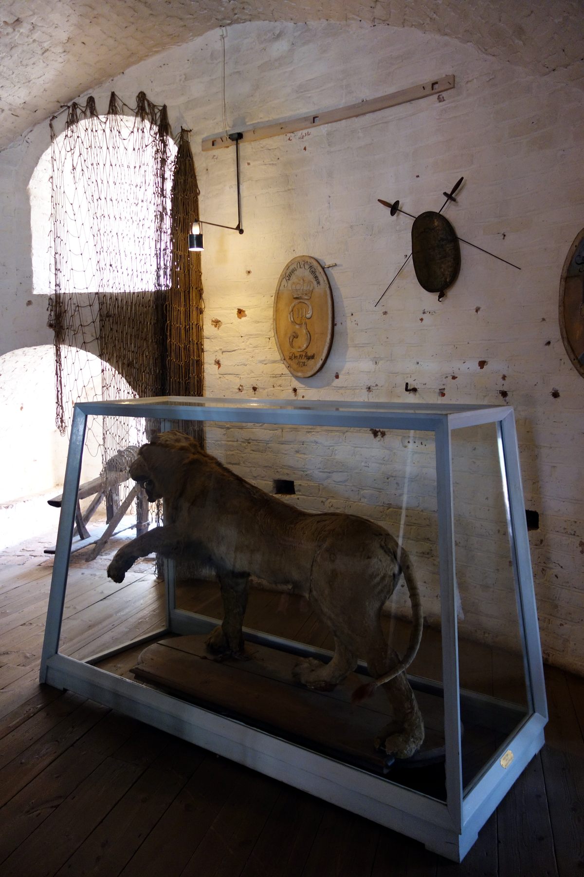 The Lion of Gripsholm Castle A Taxidermy Disaster Turned