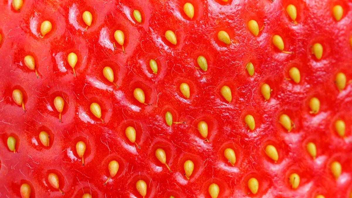 Video Of Strawberry Under A Microscope Is Here To Ruin Your Day Hasan