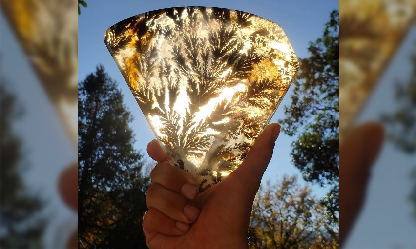 Discovering the Delicate Beauty and Healing Properties of Dendritic