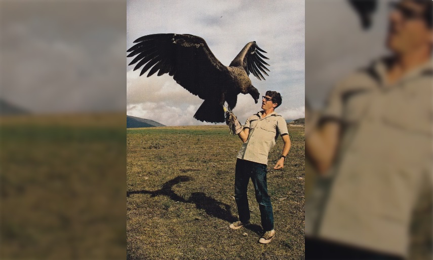 Captivating Encounter: Ornithologist and Majestic Andean Condor - Hasan ...