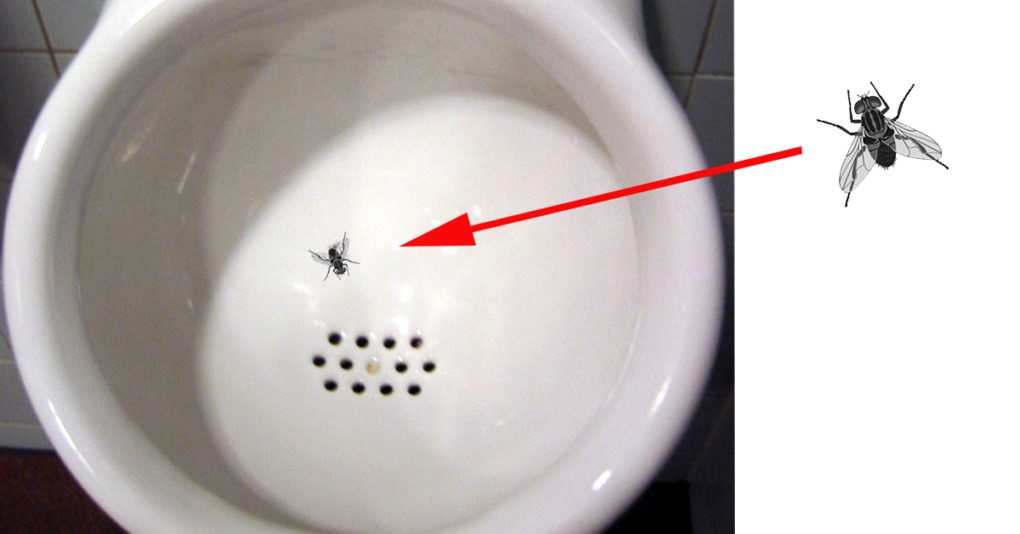 Amsterdam Airport Introduced A Fly Target In Urinals To Reduce Spillage