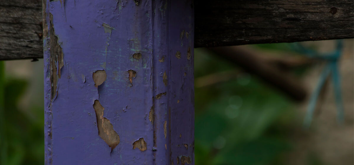 If you see a purple fence post, you need to know what it means - Hasan ...