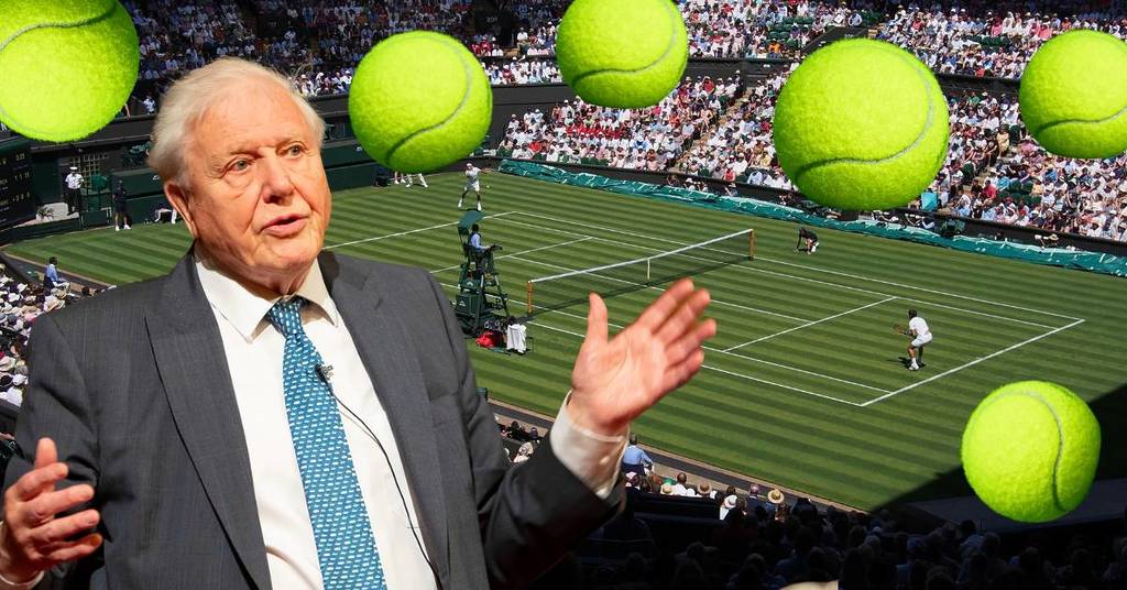 Here’s The Real Reason Why Tennis Balls Are Bright Yellow And It’s