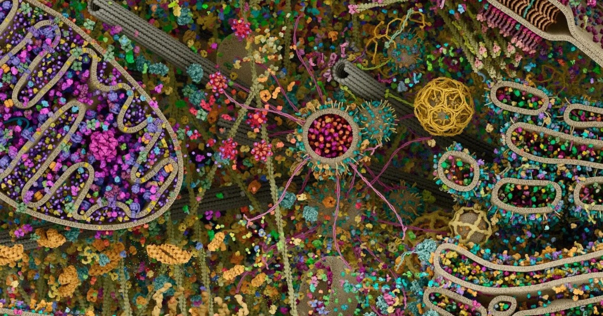 Inside the Invisible World: The Most Detailed View of a Human Cell Ever ...