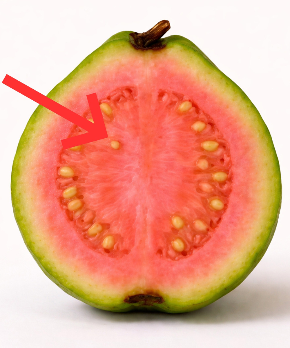Doctors reveal that guava leaf tea causes… - Hasan Jasim