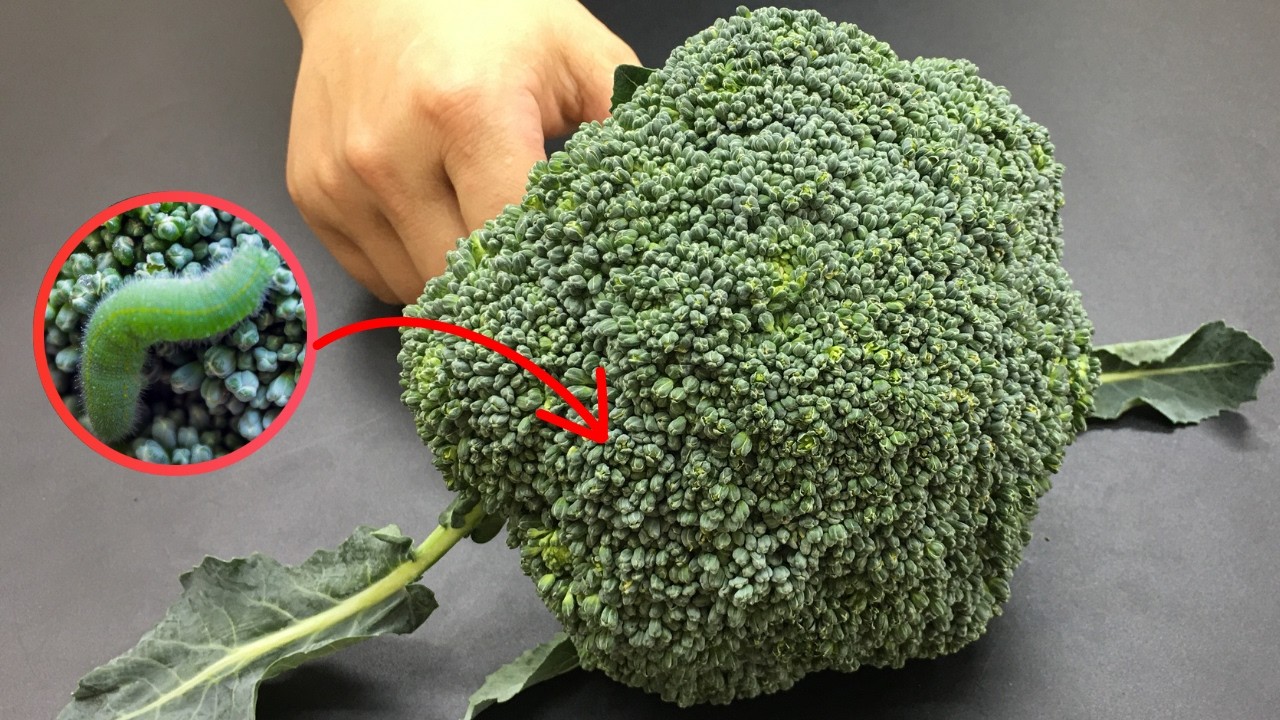 Washing broccoli with just water is wrong: This is the correct way ...